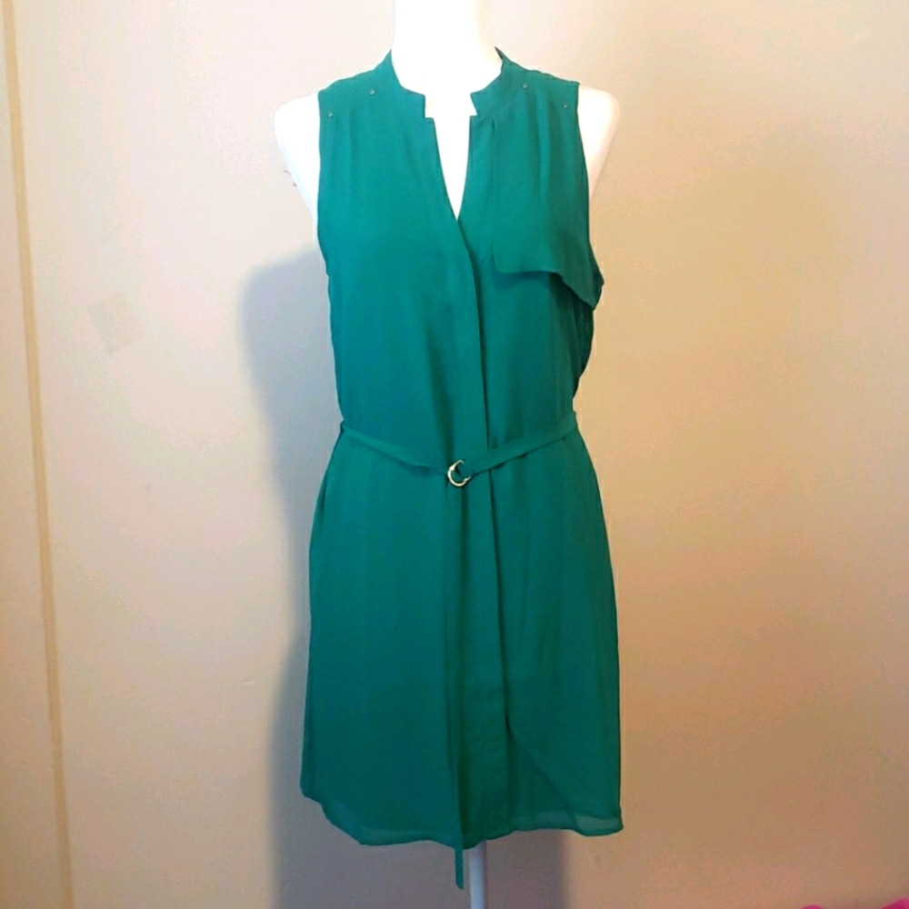 Naked Zebra Women's Dress